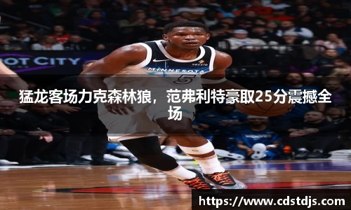 猛龙客场力克森林狼，范弗利特豪取25分震撼全场