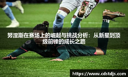 努涅斯在赛场上的崛起与挑战分析：从新星到顶级前锋的成长之路