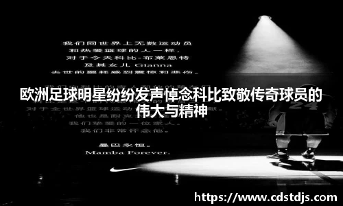 完美体育365WM官网